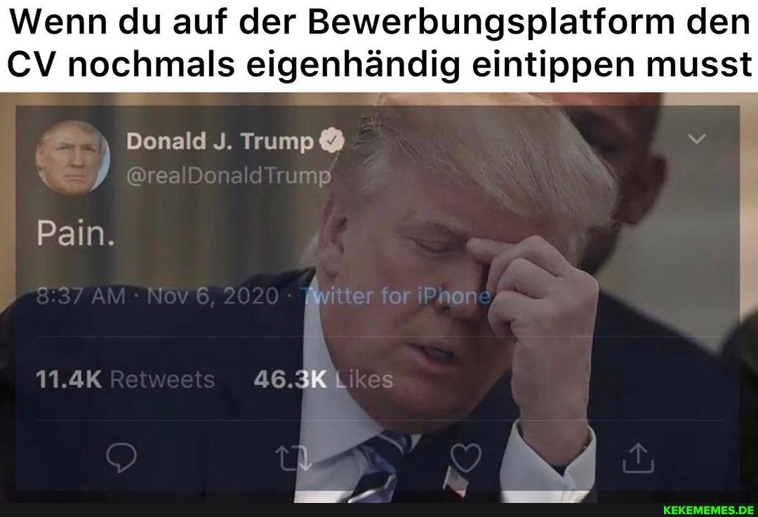 Wenn du auf der Bewerbungsplatform den
CV nochmals eigenhändig eintippen musst
Donald J. Trump
mp
Pain.