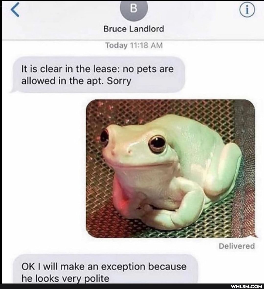 Bruce Landlord
Today AM
It is clear in the lease: no pets are allowed in the apt. Sorry
Delivered
OK I will make an exception because
ha lanve vars nalita
