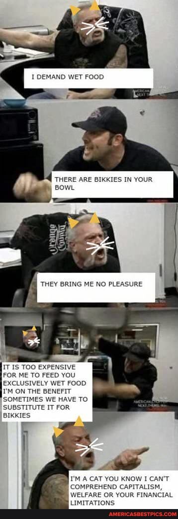 THERE ARE BIKKIES IN YOUR BOWL
IT IS TOO EXPENSIVE FOR ME TO FEED YOU EXCLUSIVELY WET FOOD ON THE BENEFIT SOMETIMES WE HAVE TO SUBSTITUTE IT FOR BIKKIES
COMPREHEND CAPITALISM,
WELFARE OR YOUR FINANCIAL