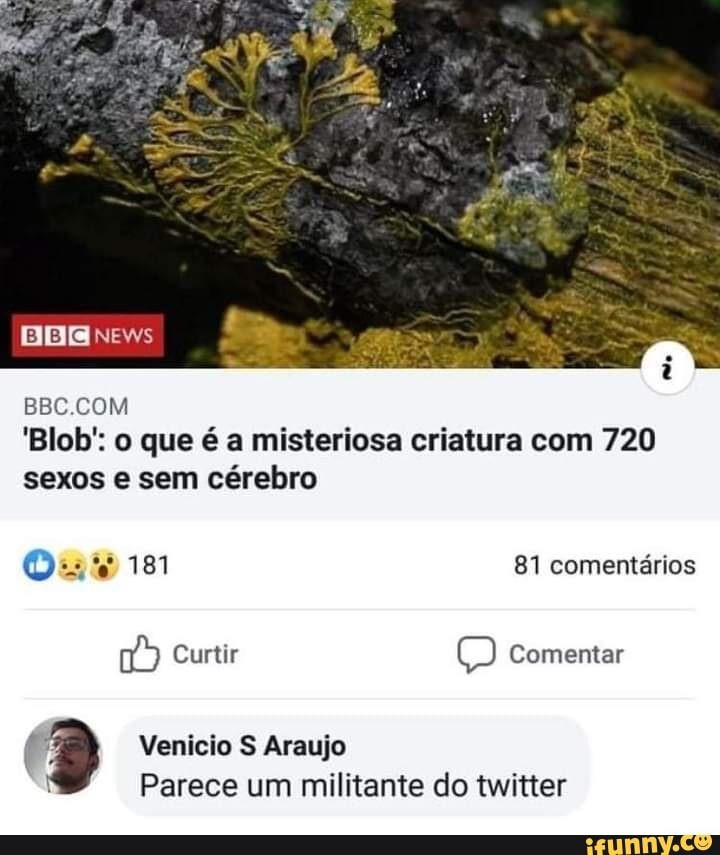 BER news
BBU COM
'Blob': o que é a misteriosa criatura com 720 sexos e sem cérebro
181 81 comentários
Curtir Comentar
Venicio S Araujo
Parece um militante do twitter