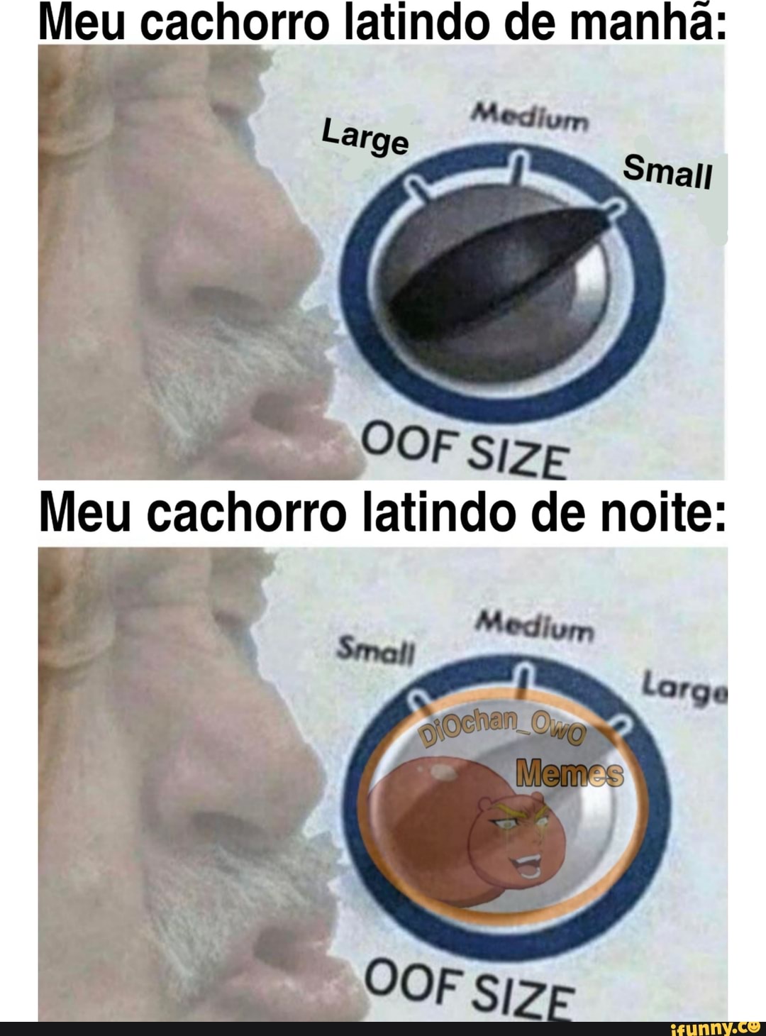 Meu cachorro latindo de manha: