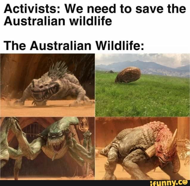 Activists: We need to save the
Australian wildlife
The Australian Wildlife:
