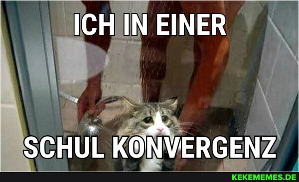 ICH IN EINER
SCHUL KONVERGENZ
