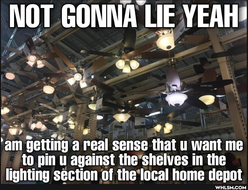 NOT GONNA LIE YEAH
~ -
'am getting a real sense that u want me to pin u against the shelves in the liahtina section of the local home denot