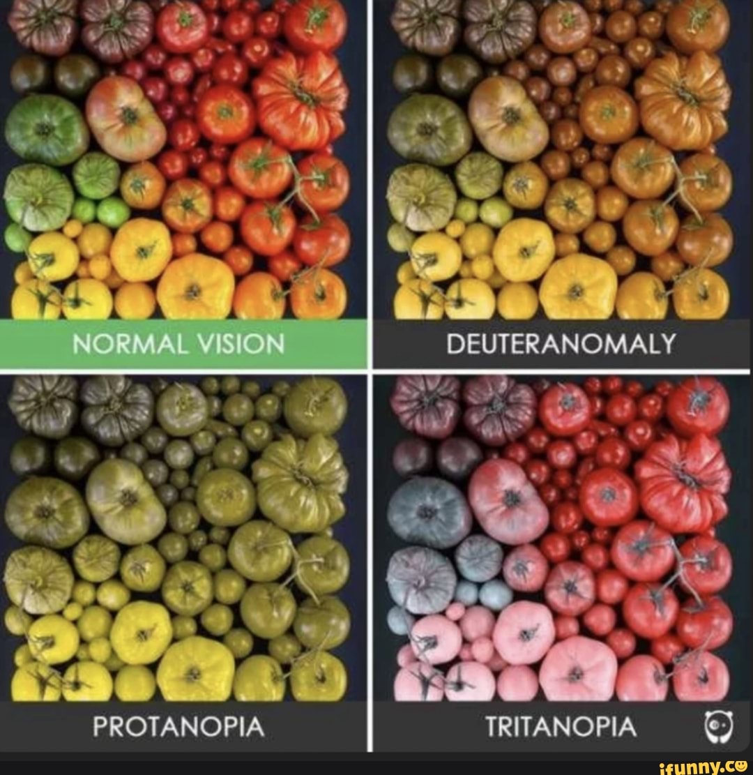 Protatopia PROTANOPIA TRITANOPIA - iFunny