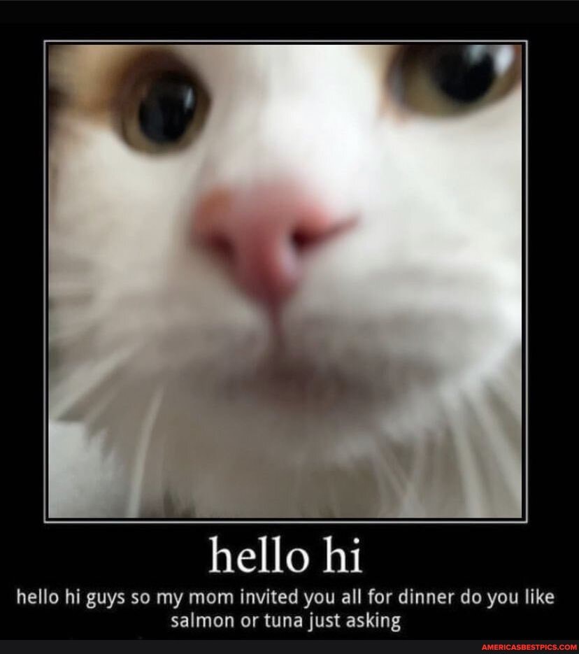 Hello Hi Hello Hi Guys So My Mom Invited You All For Dinner Do You Like Ealman Ar Tuna Acking America S Best Pics And Videos