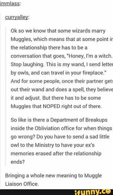 Muggles meaning