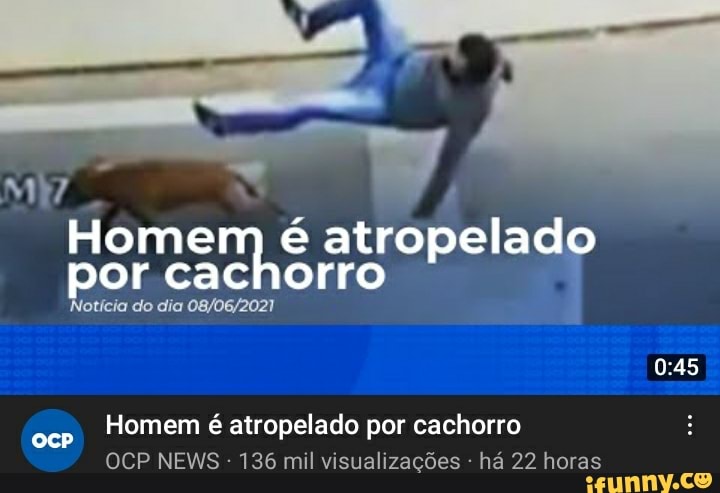 ITA
Homem é atropelado por cachorro
fotícia do dia
Homem é atropelado por cachorro
OCP NEWS 136 mil visualizações - há 22 horas