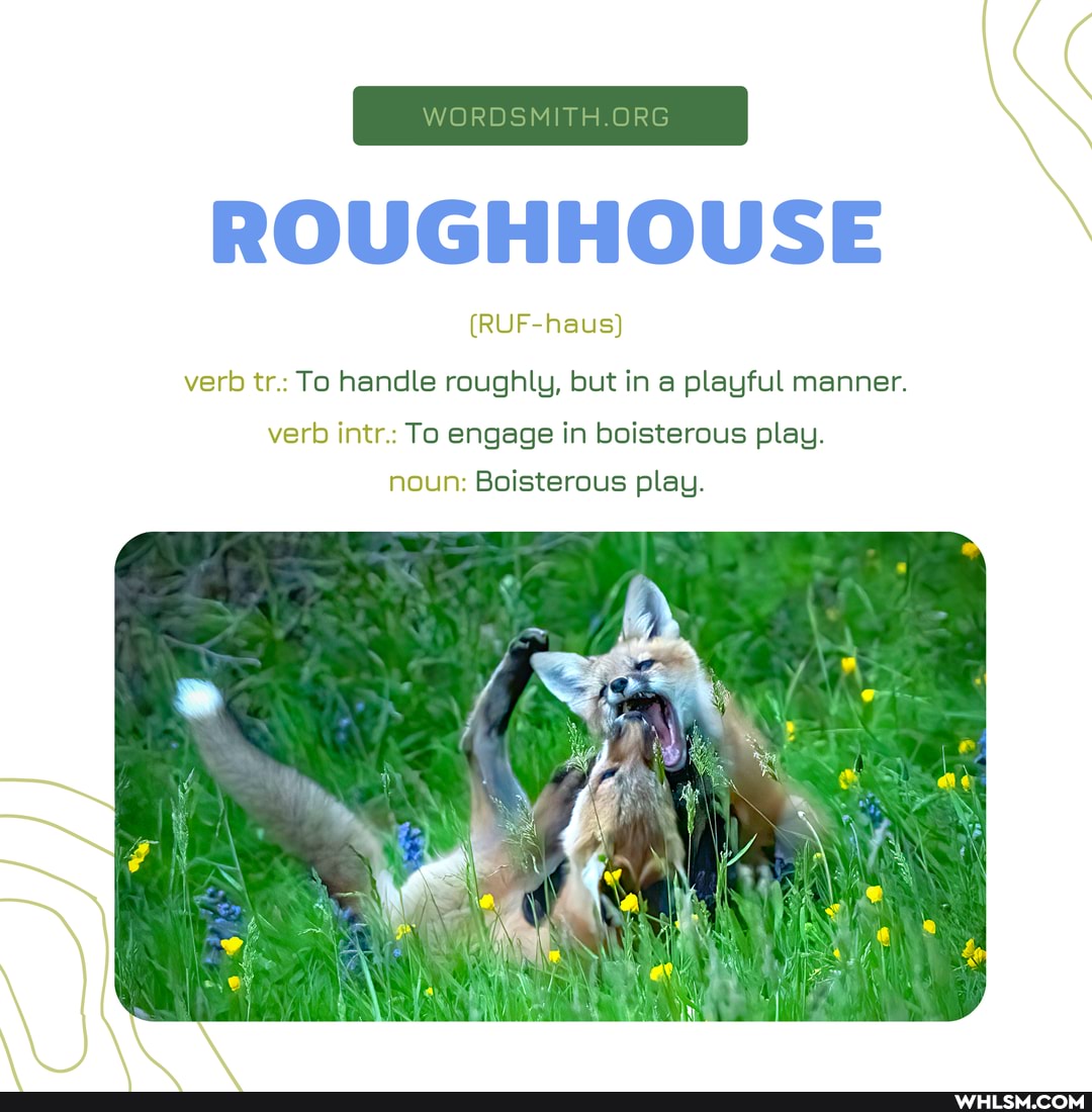 ROUGHHOUSE
(RUF-haus)
verb tr.: To handle roughly, but in a playful manner.
verb intr.: To engage in boisterous play.
noun: Boisterous play.