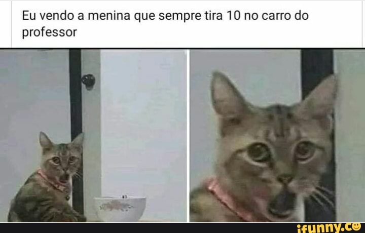 Eu vendo a menina que sempre tira 10 no carro do
professor