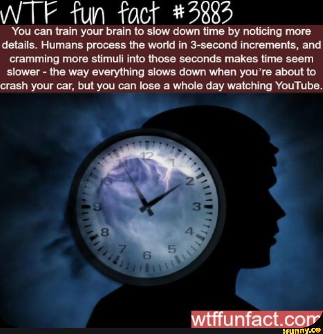 Seems that the time to. Афоризмы картинка you must Train your Brain. Facts about the World. Time to get Slow it down. Did you know? Interesting facts.