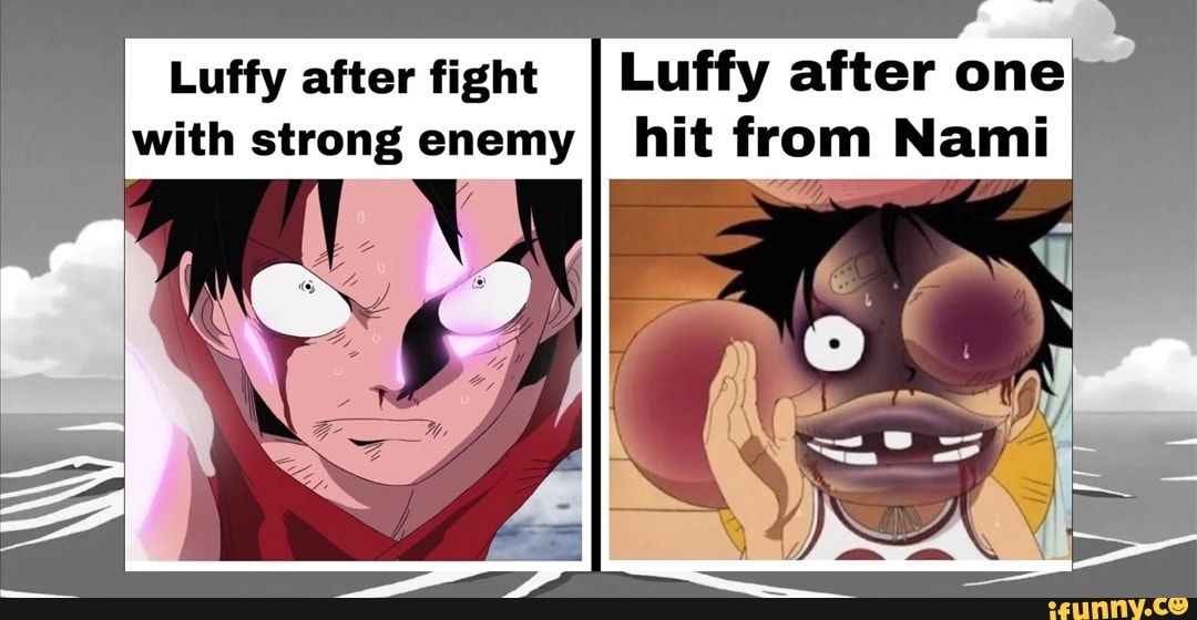 nami and luffy fighting