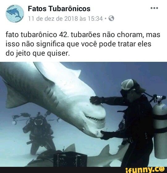 Fatos Tubarônicos
de dez de 2018
as 15
fato tubarônico 42. tubarões não choram, mas isso não significa que você pode tratar eles do jeito que quiser.