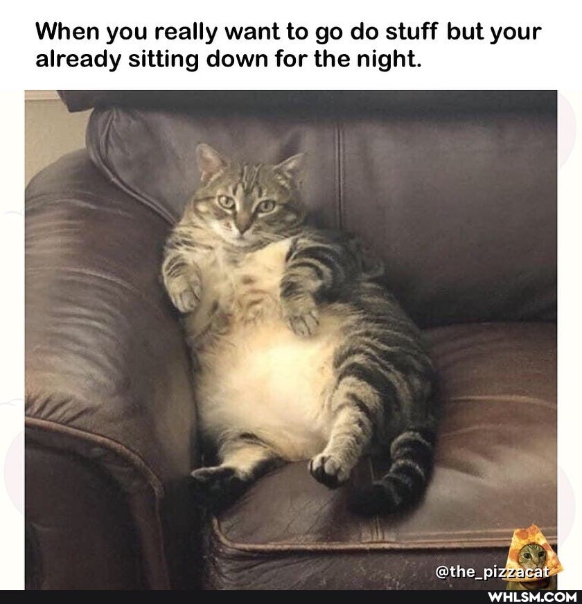 When you really want to go do stuff but your already sitting down for the night.
@the