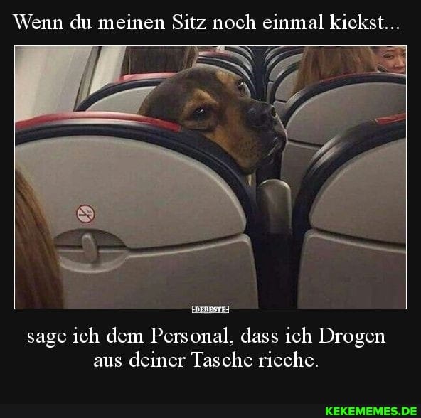 Wenn du meinen Sitz noch einmal kickst...
sage ich dem Personal, dass ich Drogen aus deiner Tasche rieche.