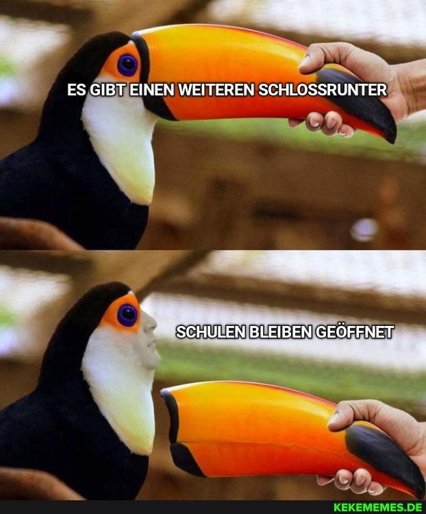 ES GIBT EINEN WEITEREN SCHLOSSRUNTER
SCHULEN BLEIBEN GEÖFFNET