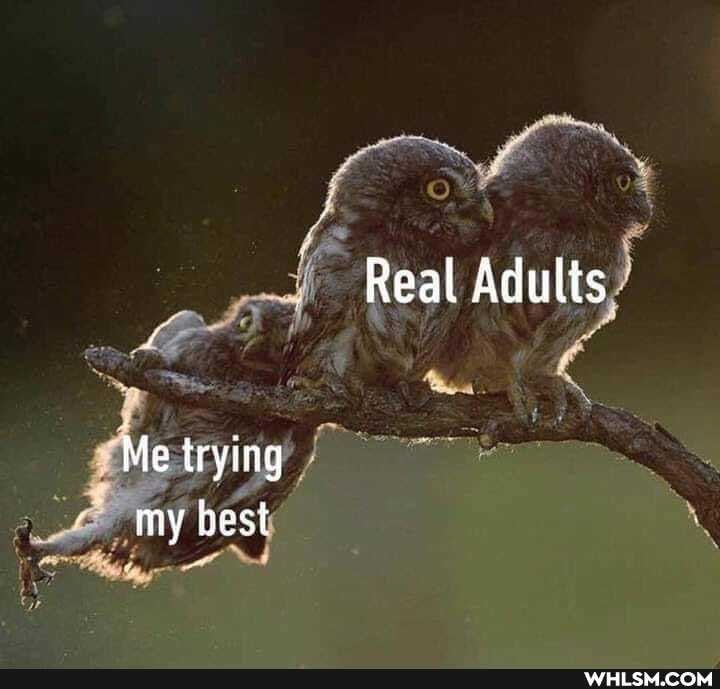 Real Adults
Me trying my best