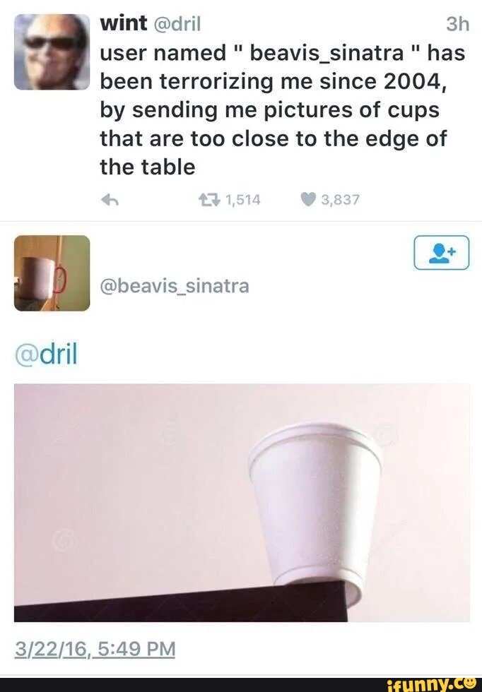 á
user named beavis sinatra has
a
been terrorizing me since 2004,
by sending me pictures of cups
that are too close to the edge of
the table
@beavis_sinatra