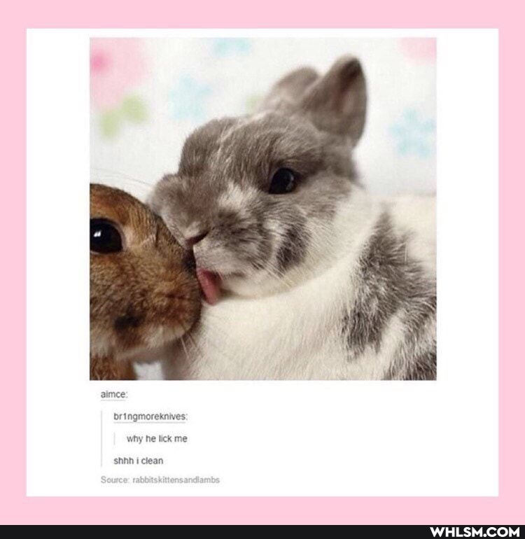 aimee:
bringmoreknives: why he lick me
shhh iclean