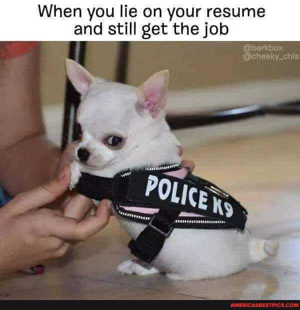 When you lie on your resume and still get the job