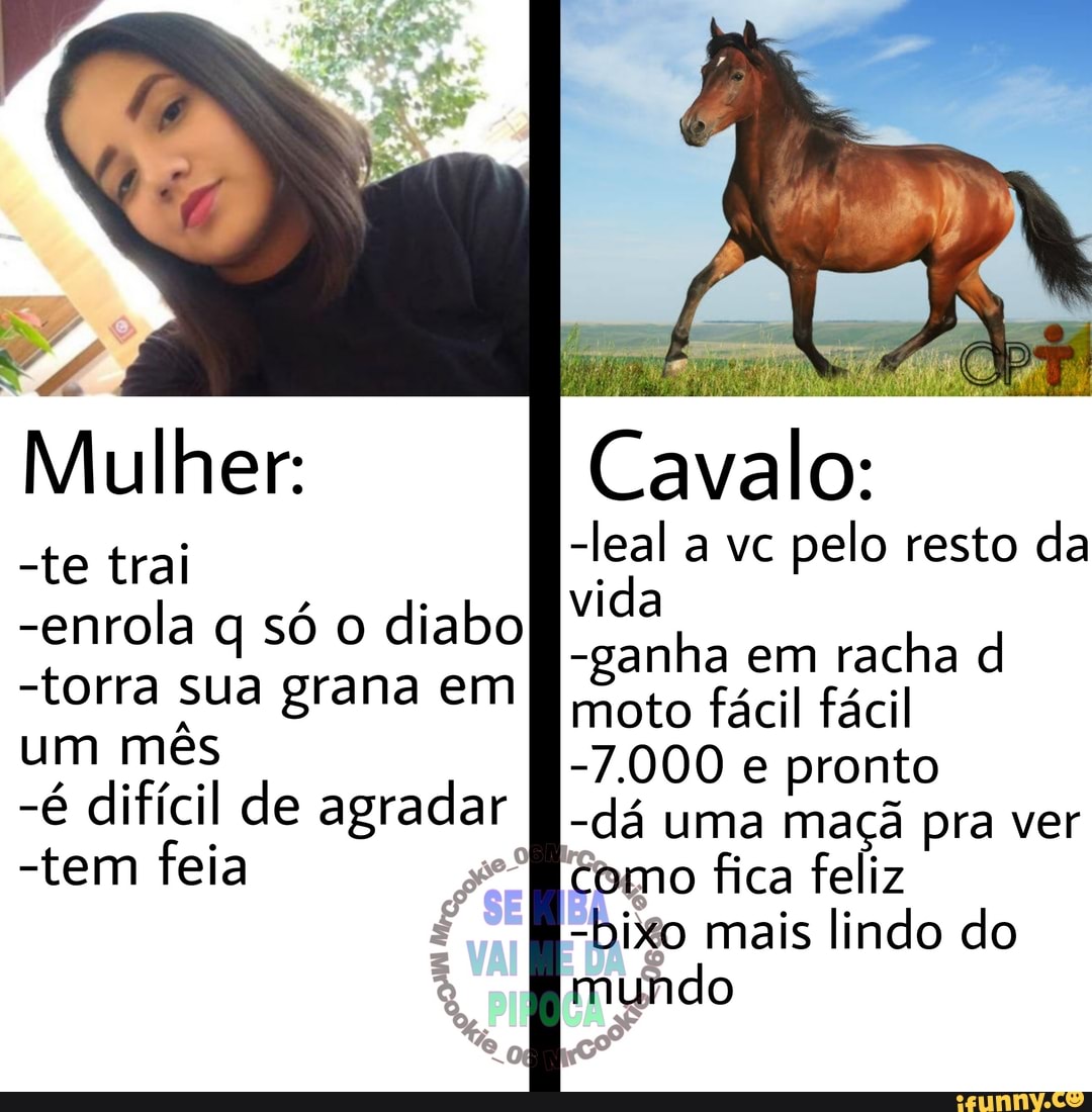 Cavalo:
-leal a vc pelo resto da vida
-ganha em racha d moto fácil fácil
-7.000 e pronto
-dá uma maçã pra ver
Mulher:
-te trai
-enrola q só o diabo
-torra sua grana em
um mês
-é difícil de agradar
-tem feia Como fica feliz
"Digo mais lindo do mundo
