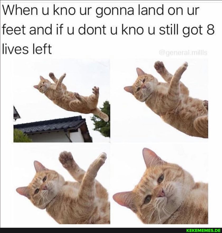 When u kno ur gonna land on ur feet and if u cont u kno u still got 8 lives left
