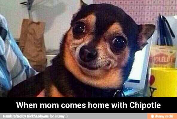 When mom comes home with Chipotle - When mom comes home with Chipotle