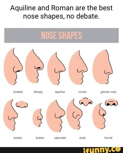Aquiline and Roman are the best nose shapes, no debate. NOSE SHAPES ...