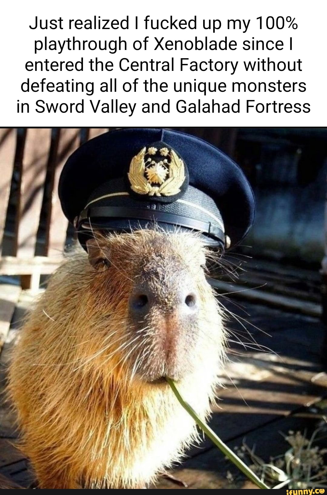 Just realized I fucked up my 100 playthrough of Xenoblade since I