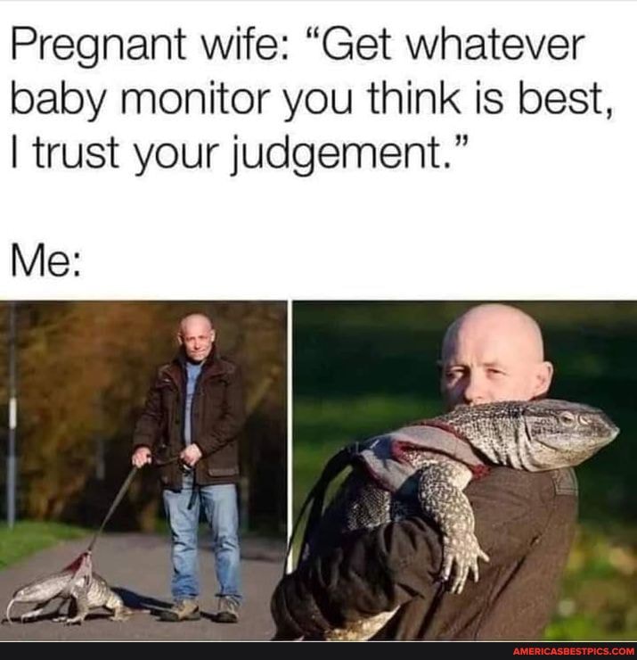 Pregnant wife: "Get whatever baby monitor you think is best,
I trust your judgement."
Me: