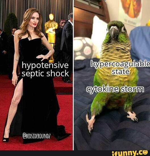 septic shock
