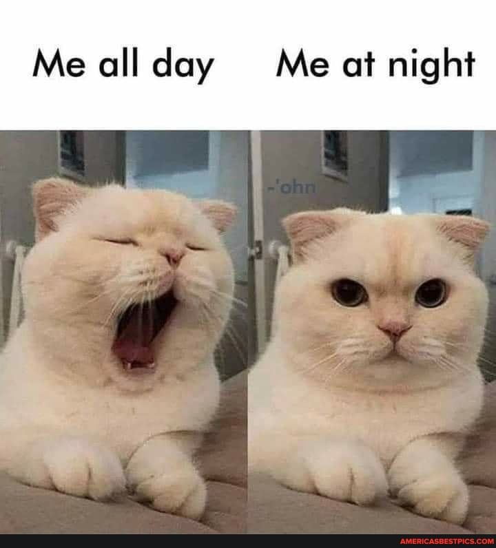 Me all day Me at night