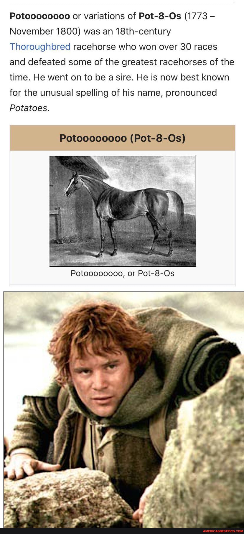 Potoo000000 or variations of Pot-8-Os (1773 November 1800) was an 18th-century
Thoroughbred racehorse who won over 30 races
and defeated some of the greatest racehorses of the
time. He went on to be a sire. He is now best known
for the unusual spelling of his name, pronounced
Potatoes.