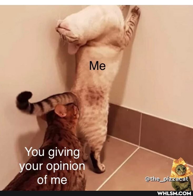 Me
You giving your opinion of me @the_pizzacat