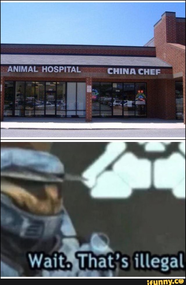 Animal Hospital China Chef