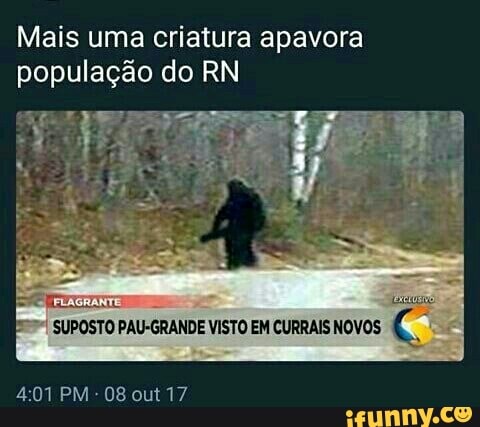 Mais uma criatura apavora
população do RN
SUPOSTO PAU-GRANDE VISTO EM CURRAIS NOVOS
3