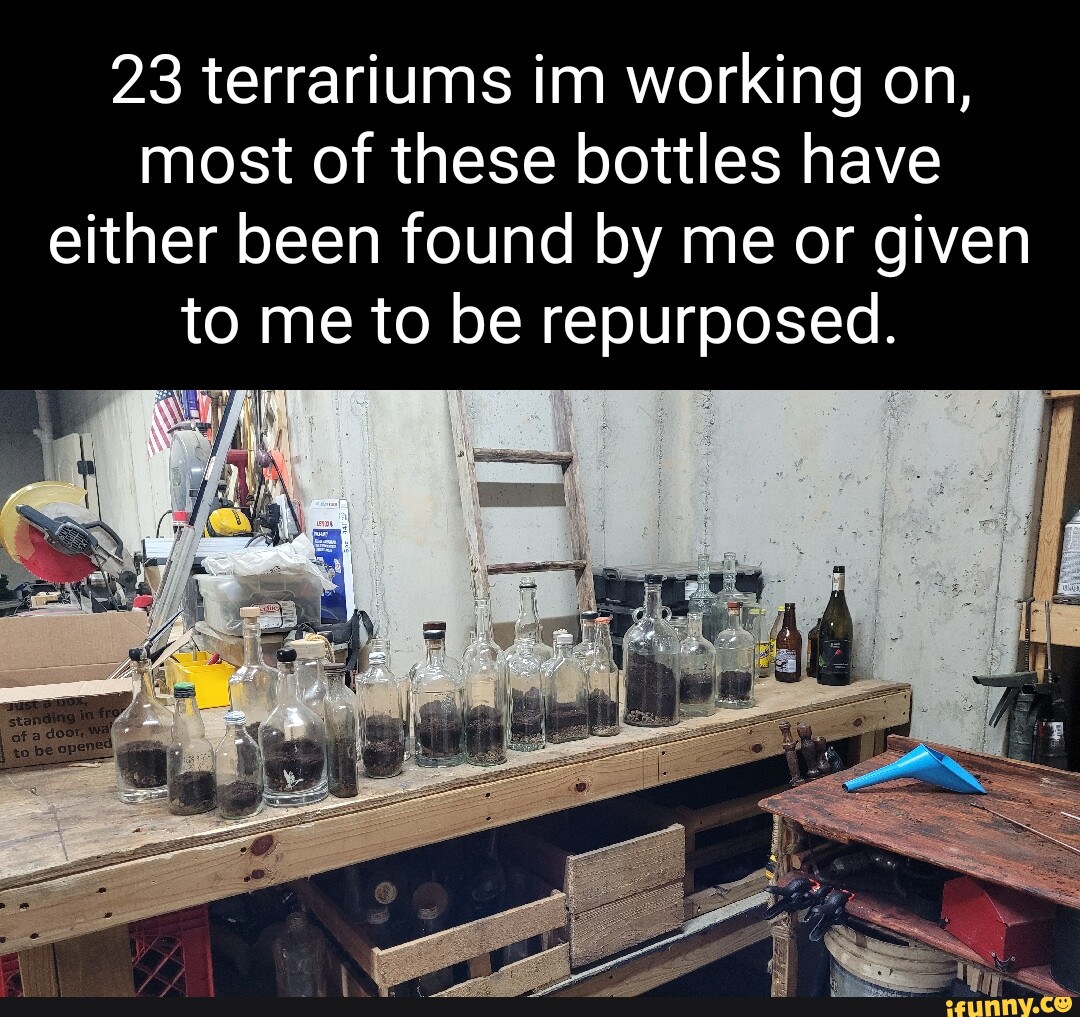 Terrariums memes. Best Collection of funny Terrariums pictures on iFunny