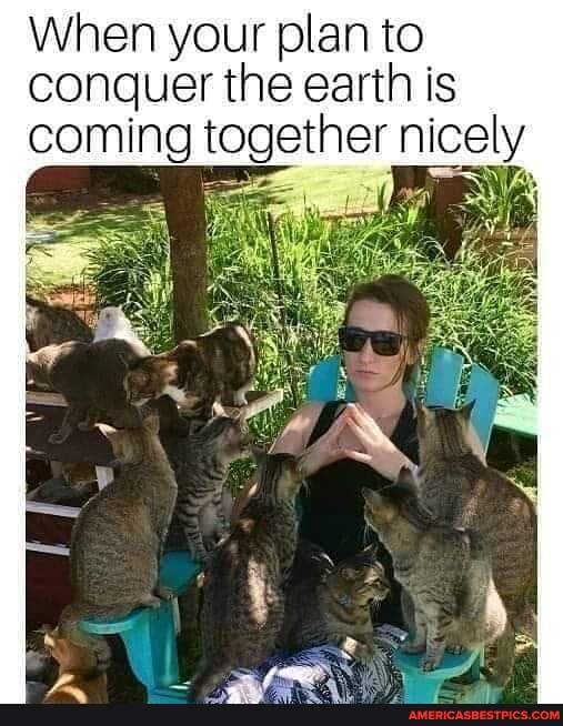 When your plan to
conquer the earth is
coming together nicely