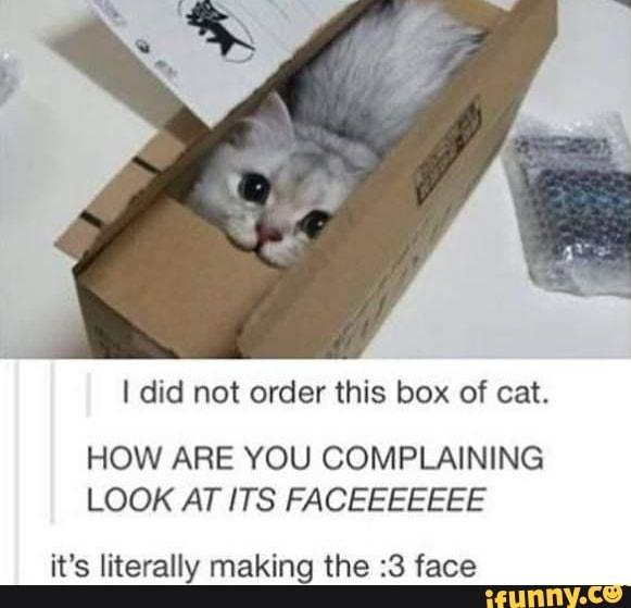 I did not order this box of cat.
HOW ARE YOU COMPLAINING
LOOK AT ITS FACEEEEEEE
it's literally making the :3 face