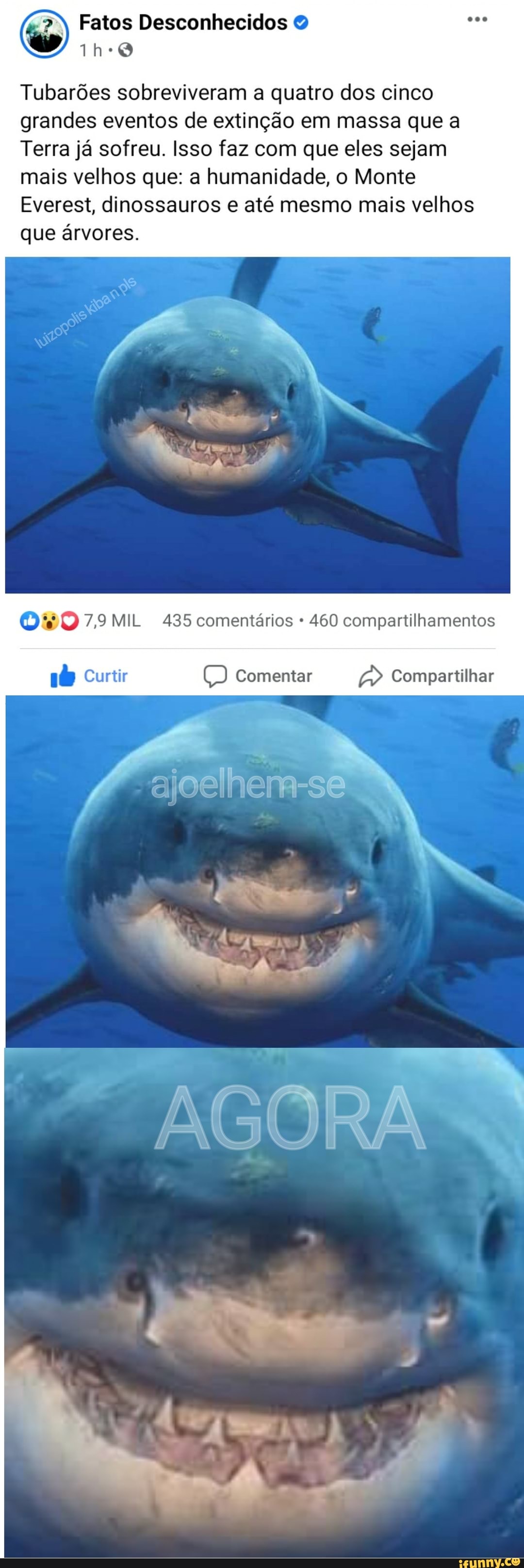 Fatos Desconhecidos O
Tubarões sobreviveram a quatro dos cinco grandes eventos de extinção em massa que a
Terra já sofreu. Isso faz com que eles sejam mais velhos que: a humanidade, o Monte
Everest, dinossauros e até mesmo mais velhos que árvores.
MIL 435 comentários 460 compartilhamentos
16 Curtir Comentar Compartilhar
ajoelhera-sê