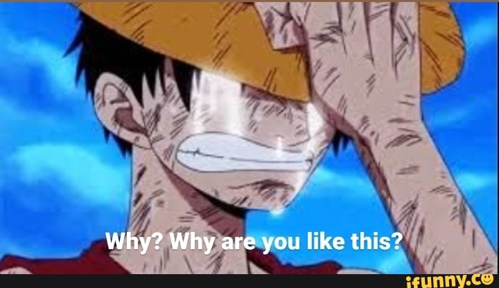 Why? Why are you like this?