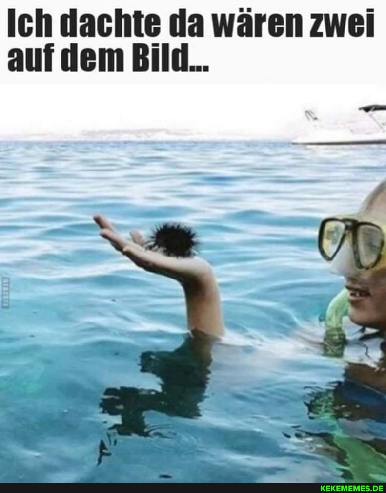 Ich dachte da wären zwei auf dem Bild...