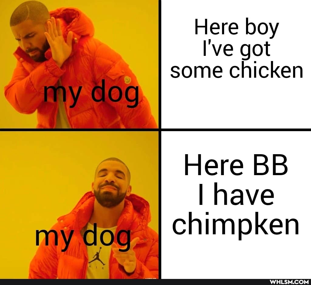 Here boy
I've got some chicken
my clog
my
Here BB wy, I have chimpken