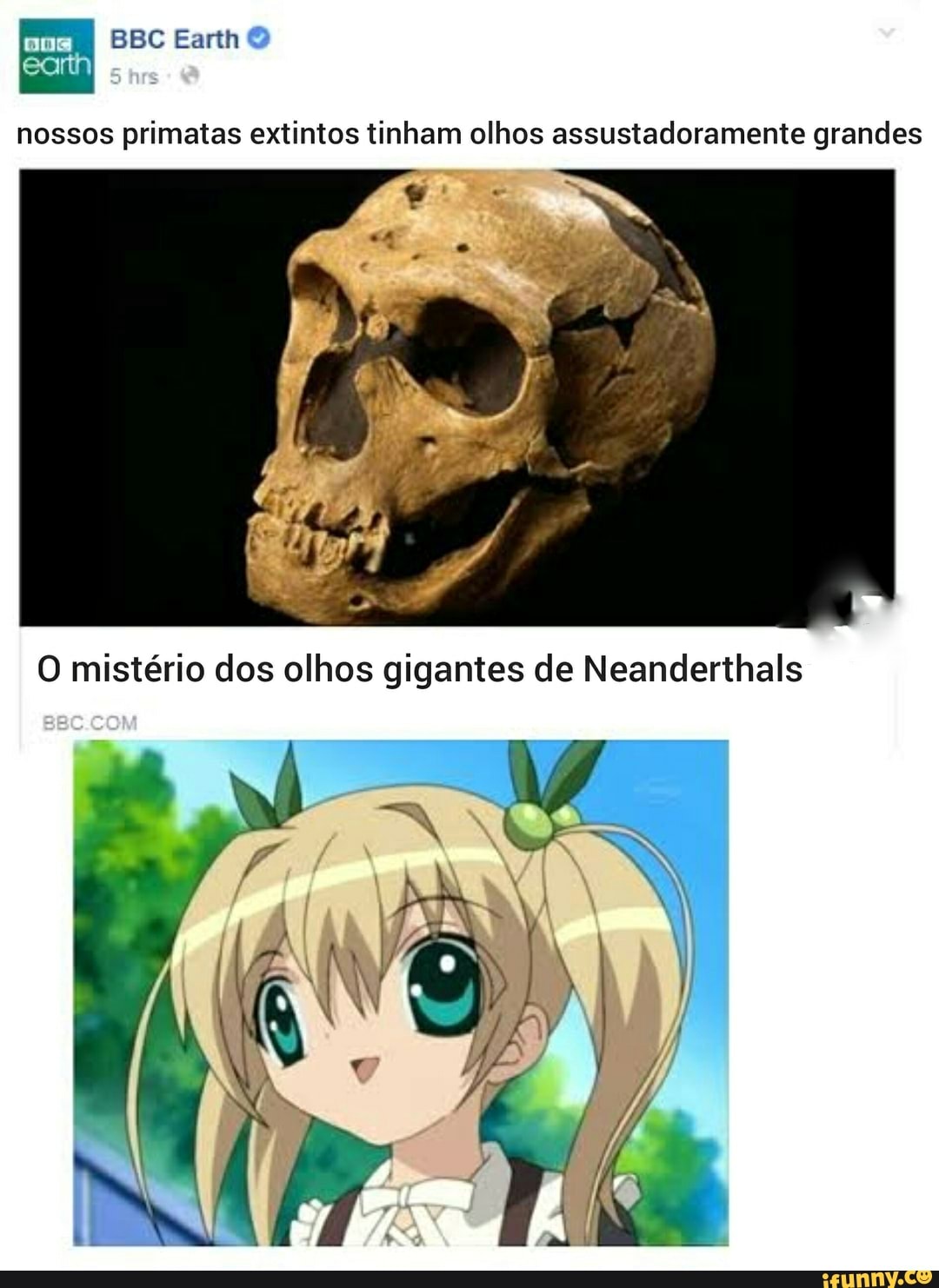 BBC Earth
sta.
nossos primatas extintos tinham olhos assustadoramente grandes
O mistério dos olhos gigantes de Neanderthals