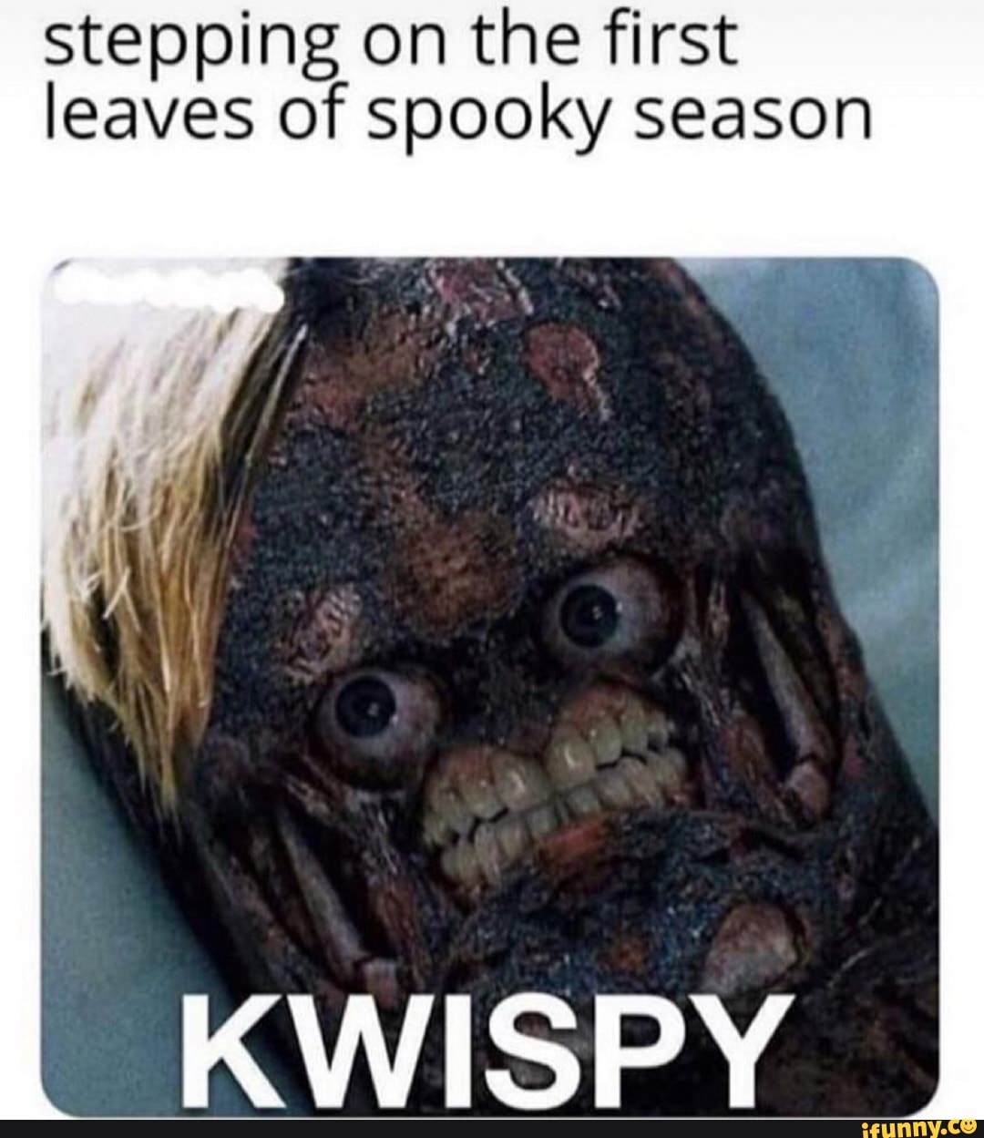 stepping on the first leaves of spooky season KWISPY.