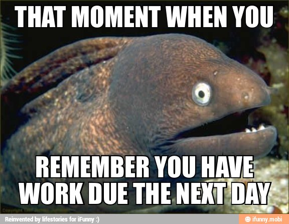 THAT MOMENT WHEN YOU
REMEMBER YOU
HAVE
WORK DUE THE