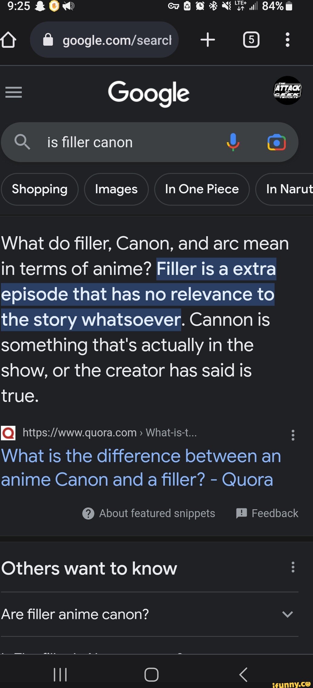 What is the difference between an anime Canon and a filler? - Quora