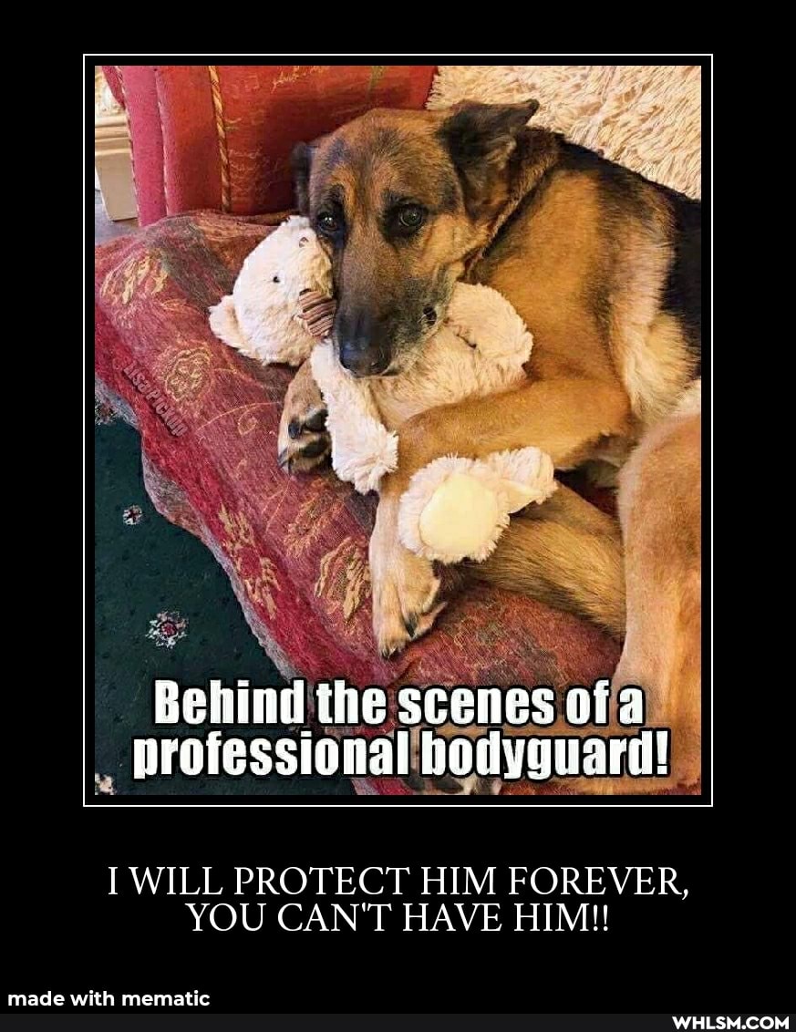 Behind the scenes afa professional hodyquard!
WILL PROTECT HIM FOREVER,
YOU CAN'T HAVE HIM!