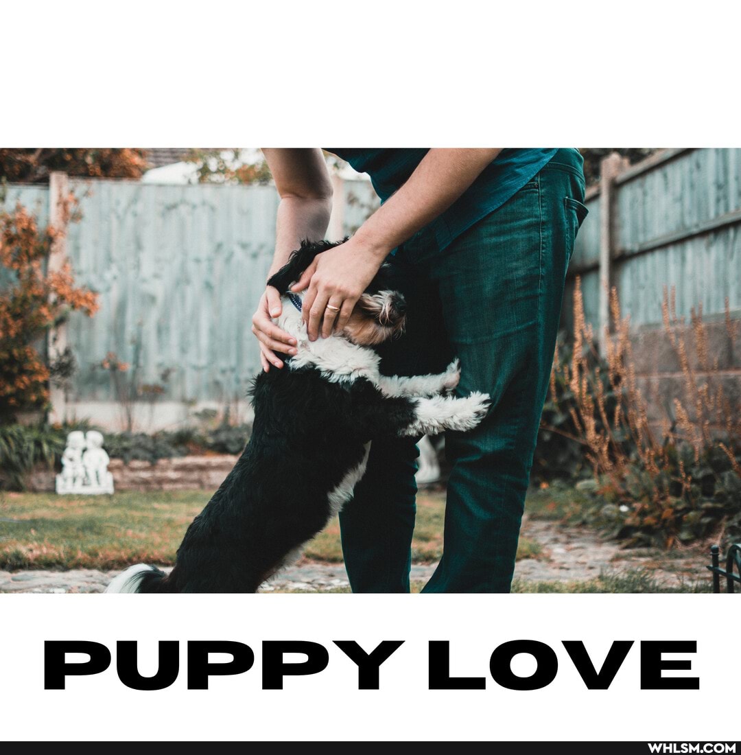 PUPPY LOVE