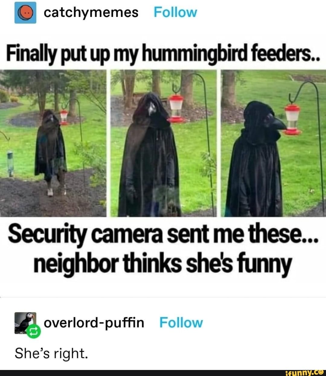 @ catchymemes Follow
Finally put up my hummingbird feeders.
Security camera sent me these...
neighbor thinks she's funny
overlord-puffin Follow
She's right.